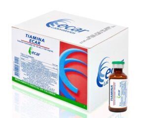 Tiamina 1 Gr 10 Ml Ampolla Ec