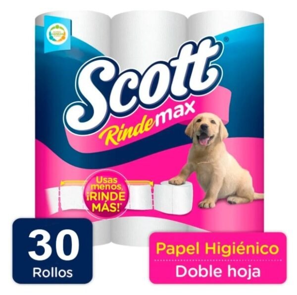 Pap.Hig.Scott Rindemax30uds